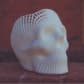Scull